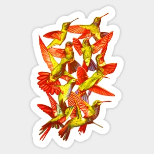 Hummingbird Dance in Sharpie (FireBird Edition) Sticker